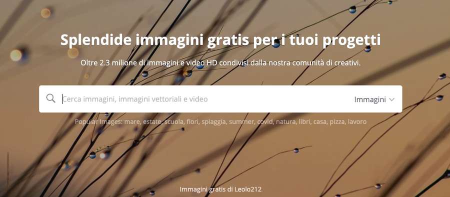 trovare le immagini gratis