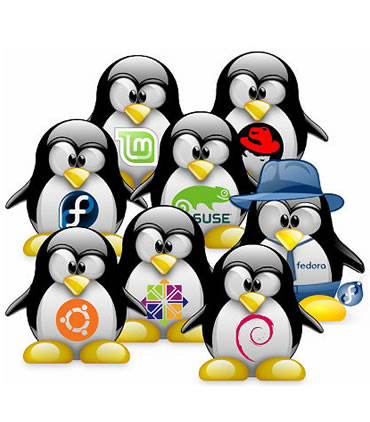 Supporto Sistemistico Linux